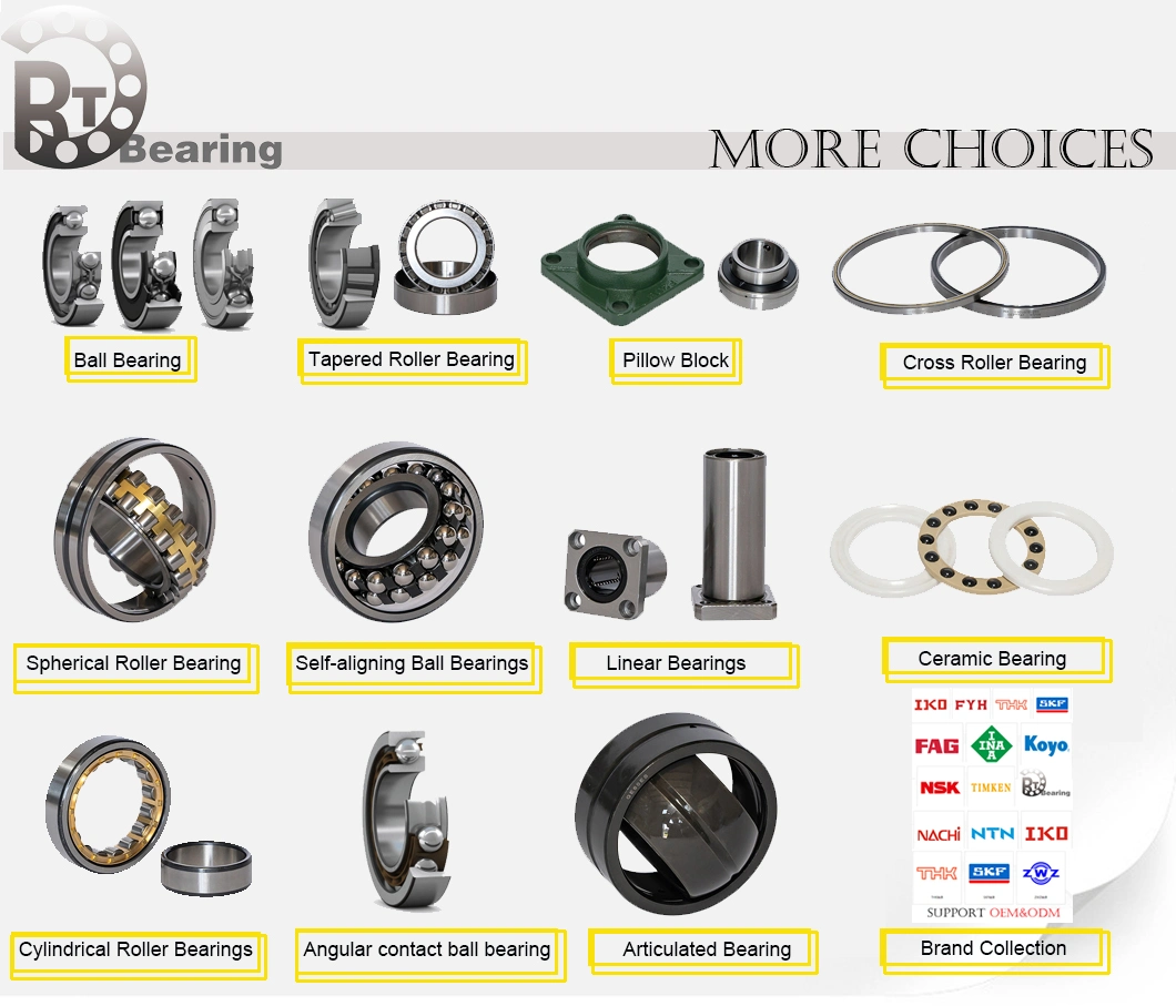 High-Speed Bearings 4205z 4205zz 4205-2RS 4205A 4205atn9 Double Row Deep Groove Rolling Bearings 3056 Double Row Angular Contact Ball Bearings 4206-2RS 4207-2RS